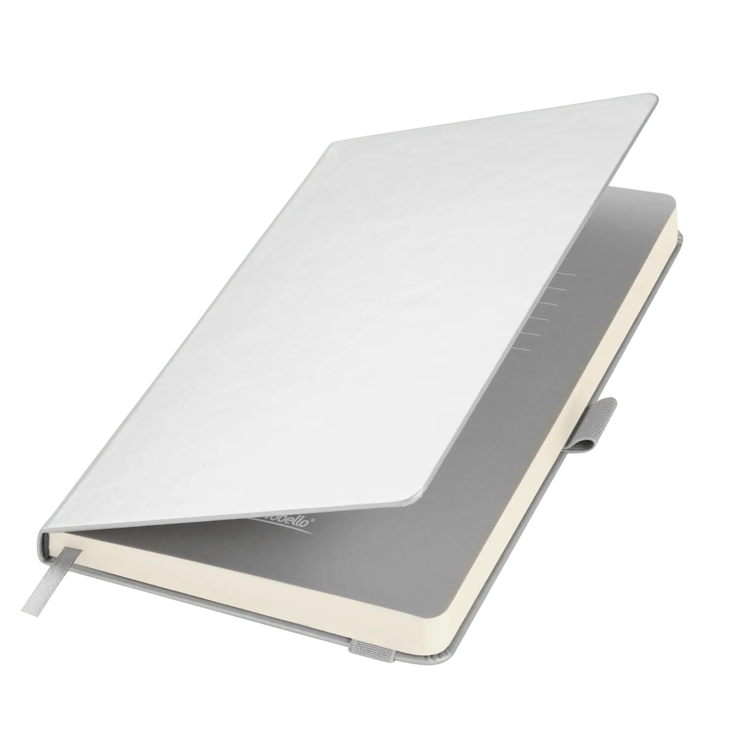 СЕРЕБРЯНЫЙ