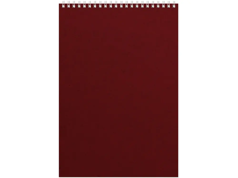 Бизнес - блокнот Альт А4 (198 х 285 мм) Office 60 л., бордовый