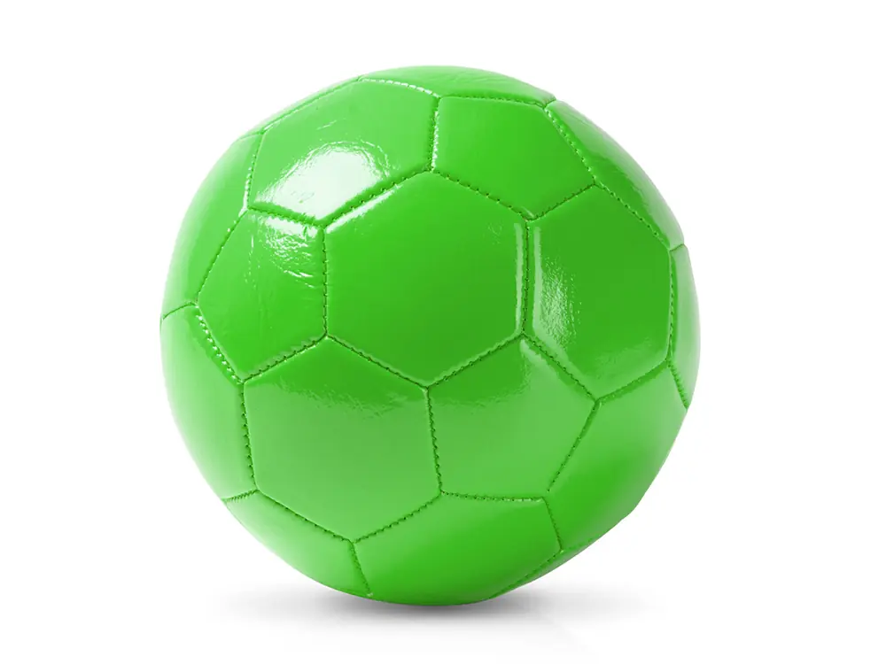 папоротник